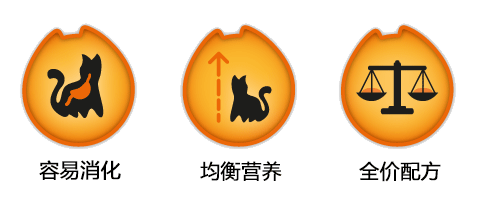 cat-young-feature-icon.png